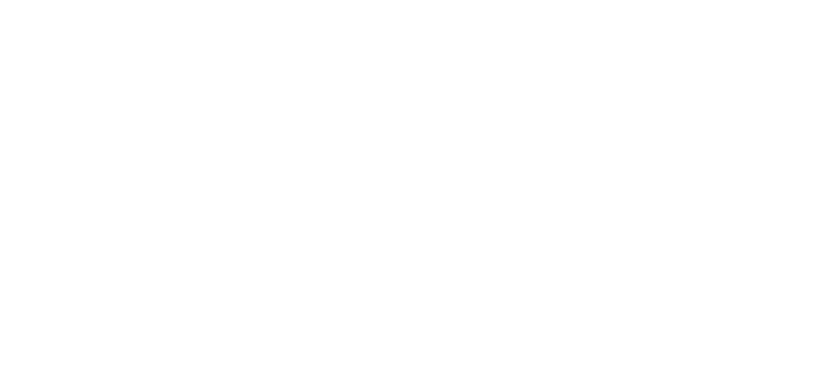 Ferreira Castro